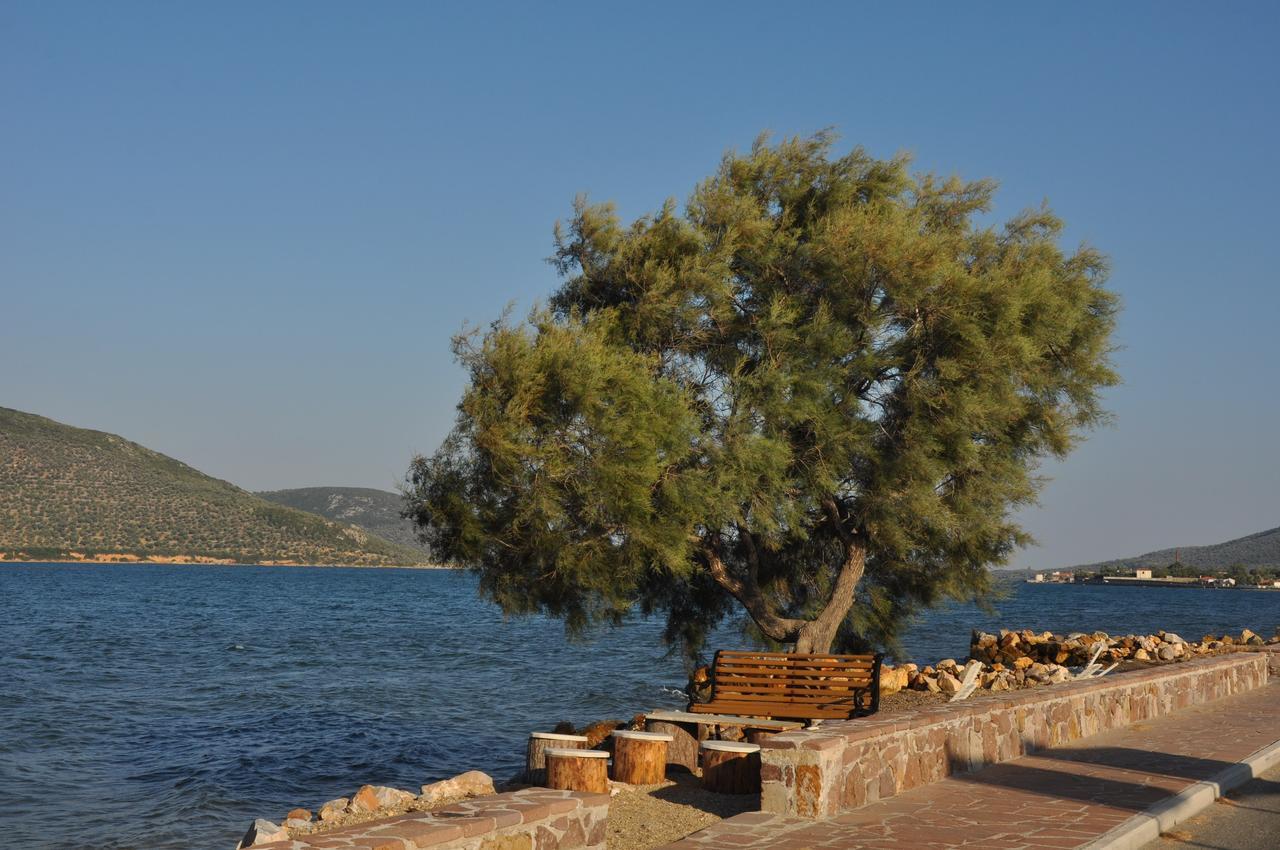 Ariadnes Holiday Accommodation Απιδιάς Λάκκος Εξωτερικό φωτογραφία