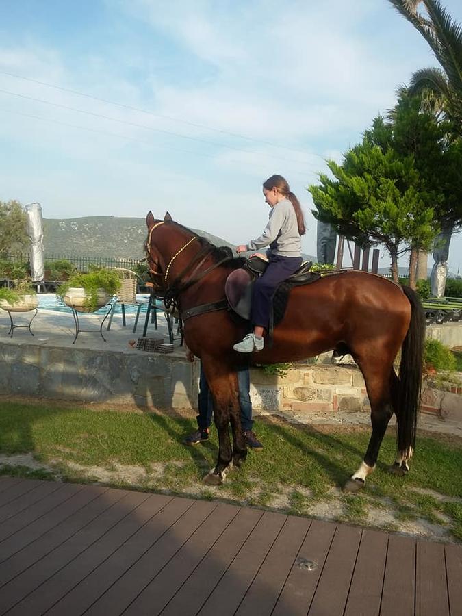 Ariadnes Holiday Accommodation Απιδιάς Λάκκος Εξωτερικό φωτογραφία